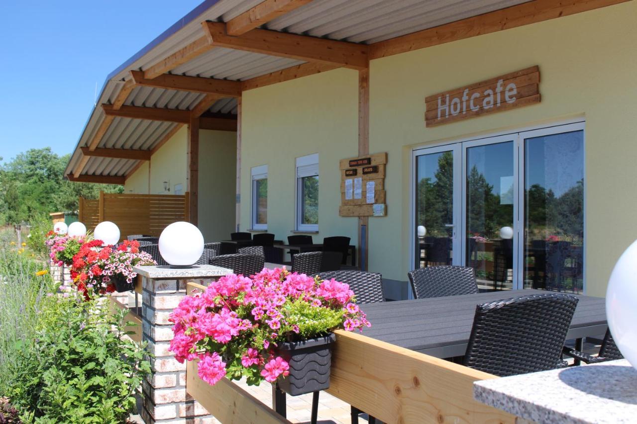 Vila Torhaus Terra Nova Elsterheide Exteriér fotografie